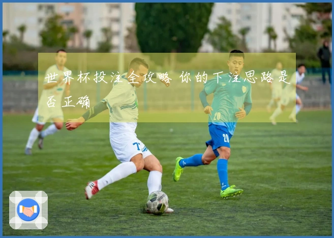 世界杯投注全攻略 你的下注思路是否正确