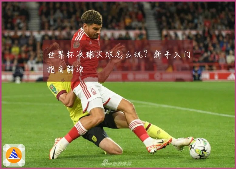世界杯滚球买球怎么玩？新手入门指南解读