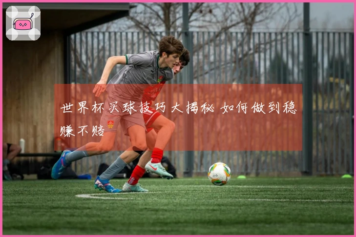 世界杯买球技巧大揭秘 如何做到稳赚不赔