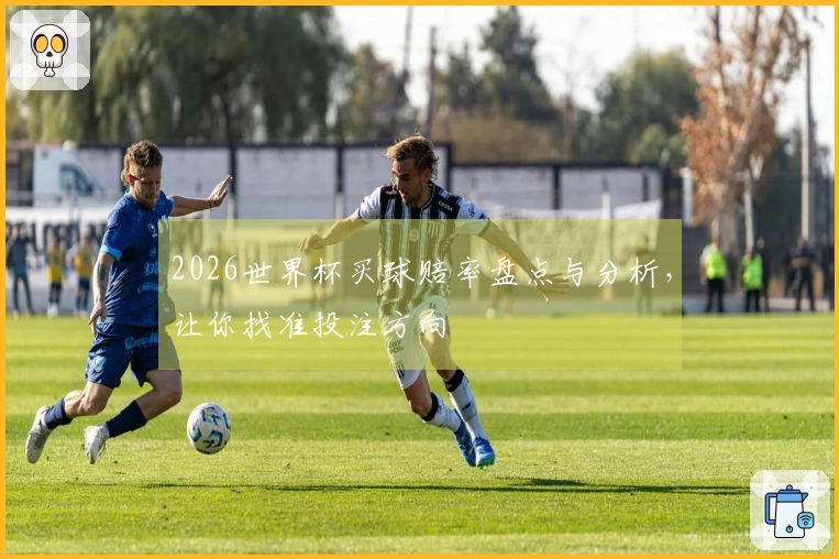 2026世界杯买球赔率盘点与分析，让你找准投注方向